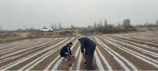 人生就是博·(中国区)官方网站